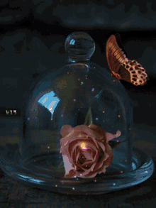 Nice Butterfly GIF - Nice Butterfly Rose GIFs