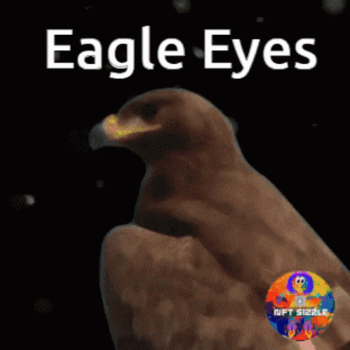 cartoon eagle eyes