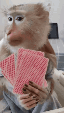 Monkey Card GIF - Monkey Card Smart GIFs