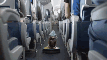 Cat Shark Riding Down The Airplane Aisle GIF - Plane Shark Costume Cat GIFs