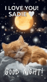 Good Night Images New 2023 Cute Cat GIF - Good Night Images New 2023 Cute Cat GIFs