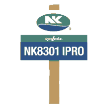 nk8301ipro sojacerta rentabilidade sementes nk