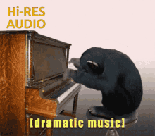 Musica Dramatica Hi Res GIF - Musica Dramatica Hi Res GIFs