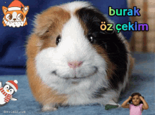 Burak özçekim GIF - Burak özçekim Hamster GIFs