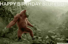 Blueeddy Blueddy GIF - Blueeddy Blueddy Adham Birthday GIFs