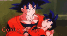 Goku Y Gohan Dragon Ball Z GIF