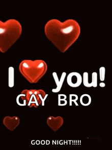 a poster that says i love you gay bro good night