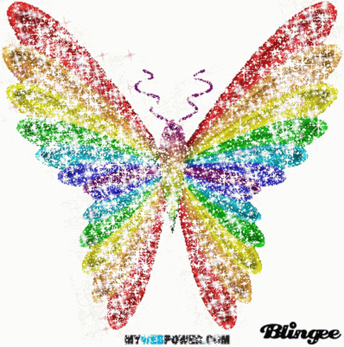 animated rainbow butterflies love