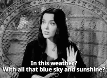 In This Weather, With All That Blue Sunshine? GIF