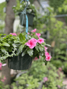 a hanging basket with pink flowers hanging from a hook