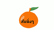 ส้มนิ่ง ก้าวไกล GIF