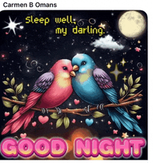 a picture of two birds kissing on a branch with the words good night