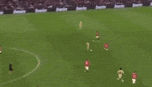 a group of soccer players on a field with heineken ads on the sidelines .