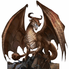 Drakewars Play GIF - Drakewars Play Dragons GIFs