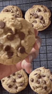 Chocolate Chip Cookies Cookies GIF