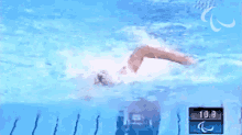 Swimming International Paralympic Committee GIF