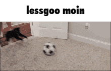 Moin Moin Khan GIF - Moin Moin Khan Football GIFs