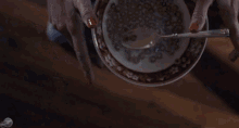 No Use Dying Over Spilt Milk GIF - Whodunnit Abc Milk GIFs