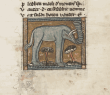 Manuscrit Elephant GIF - Manuscrit Elephant Chougne GIFs