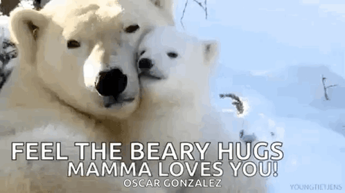 https://media.tenor.com/T00Ox-yqNNEAAAAe/love-polar-bear.png