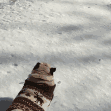 Snow Day Pugs GIF - Snow Day Pugs Winter GIFs