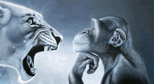 a drawing of a lion and a chimpanzee