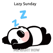 sunday lazy panda lazy sunday cute