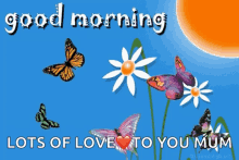 Good Morning Butterfly GIF - Good Morning Butterfly Flowers GIFs