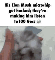 Elon Musk 100gecs GIF - Elon Musk 100gecs GIFs