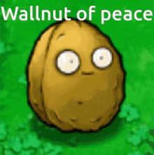 Wallnut GIF