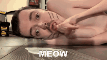 Cat Meow GIF - Cat Meow Imitate GIFs