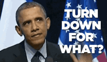 Turn Down For What? GIF - Tletter GIFs