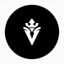 Versa Logo GIF - Versa Logo Black And White GIFs