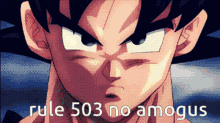 Rule503 Goku GIF