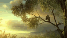 Owl Chill GIF - Owl Chill Bird GIFs