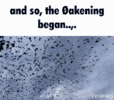 Oak øakening GIF - Oak øakening Oakening GIFs