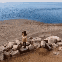 Stranded Island GIF