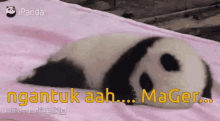 Ngantuk1 Ngantukaah Mager GIF - Ngantuk1 Ngantukaah Mager GIFs