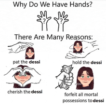 why do we have hands ? there are many reasons : pat the dessi cherish the dessi hold the dessi