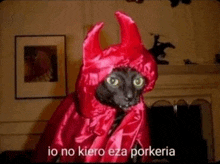a black cat is dressed in a red devil costume .