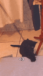 Black Cat Cat Meme GIF - Black Cat Cat Cat Meme GIFs