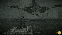 Shadow Of The Colossus Remake GIF