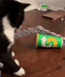 Cat Flip GIF - Cat Flip GIFs