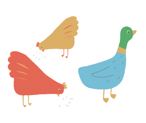 Chicken Goose Sticker - Chicken Goose Stickers