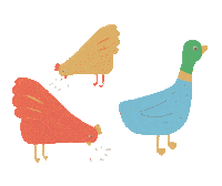 Chicken Goose Sticker