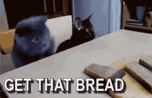 Get That Bread Get This Bread GIF