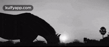 Horse  Silhouette | Karnan Teaser.Gif GIF - Horse Silhouette | Karnan Teaser Dhanush Karnan GIFs