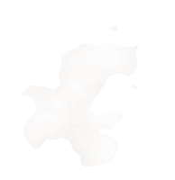 a close up of a white background with a few lines on it .