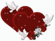 wow sparkle heart love dove
