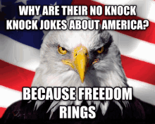 Patriotic Freedom Mf GIF - Patriotic Freedom Mf American Eagle GIFs